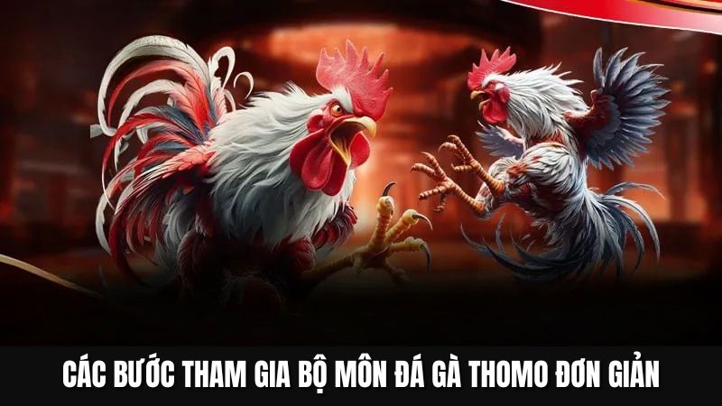Các bước tham gia bộ môn đá gà Thomo đơn giản