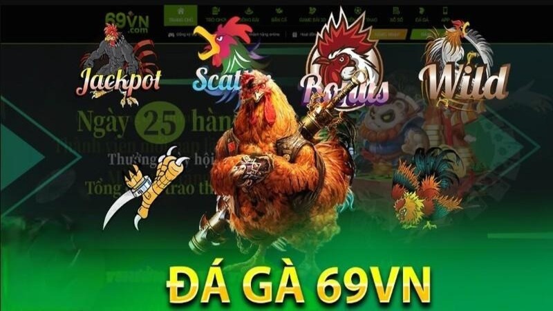 Những Thông Tin Giới Thiệu Về Chuyên Mục Đá Gà 69vn