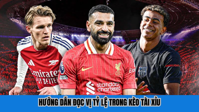 Hướng dẫn đọc vị tỷ lệ trong kèo tài xỉu