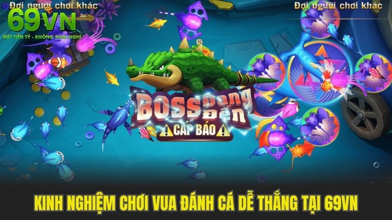 Tổng hợp kinh nghiệm chơi vua đánh cá dễ chiến thắng