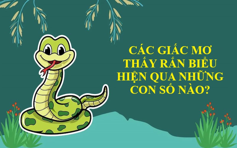Con số thể hiện trong mỗi giấc mơ thấy rắn