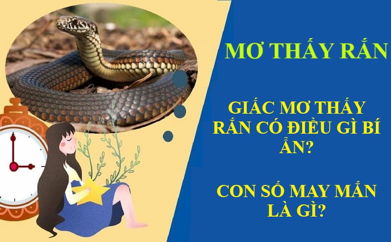 Giấc Mơ Thấy Rắn Có Điều Gì Bí Ẩn? Con Số May Mắn Là Gì?