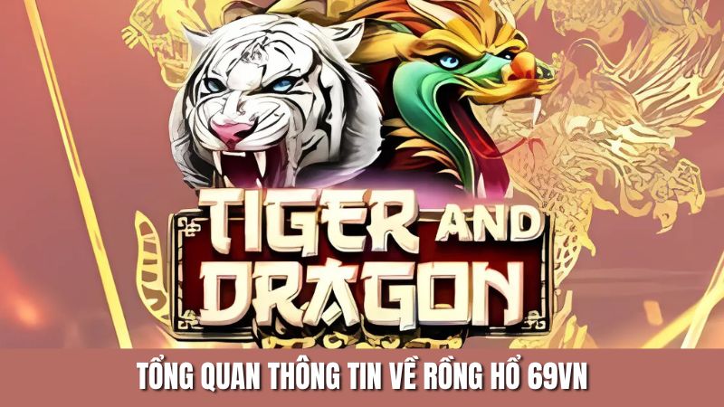 Tổng quan thông tin về rồng hổ 69VN