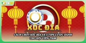Cách Chơi Xóc Đĩa Và 3 Tips Cược Dành Cho Hội Viên Tk88
