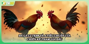 Đá Gà C2 Tk88 Và 4 Tiêu Chuẩn Của Chiến Kê Tham Gia Đấu