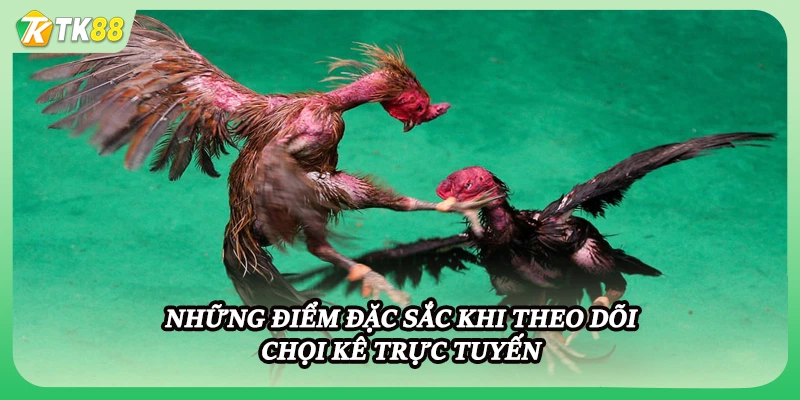 Những điểm đặc sắc khi theo dõi chọi kê trực tuyến